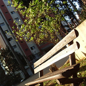 Cidade Das Crianças em São Caetano do Su Cidade Das Crianças em São Caetano do Sul